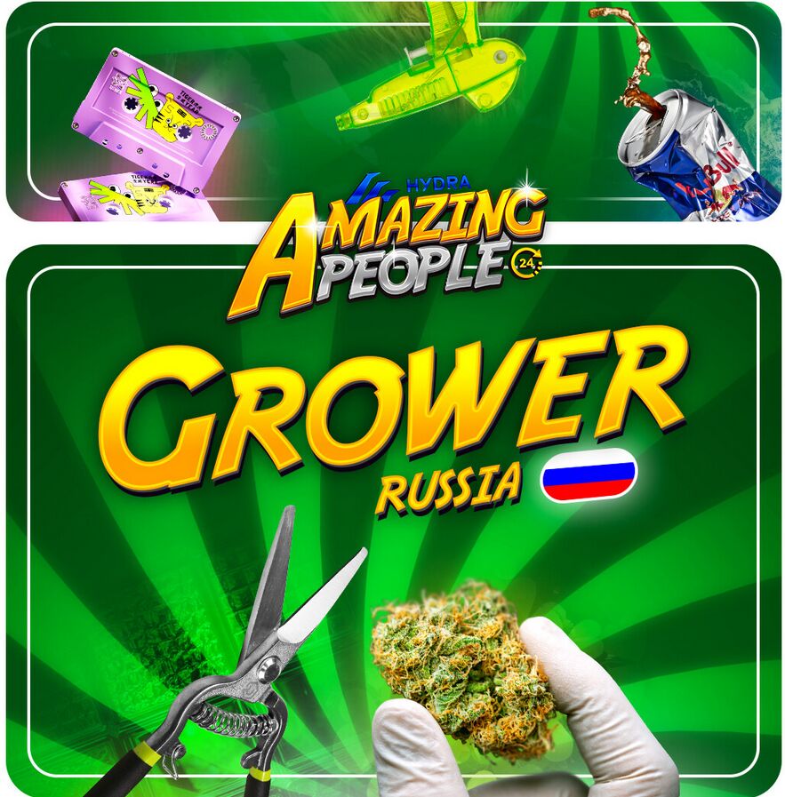 Гровер РФ 🇷🇺