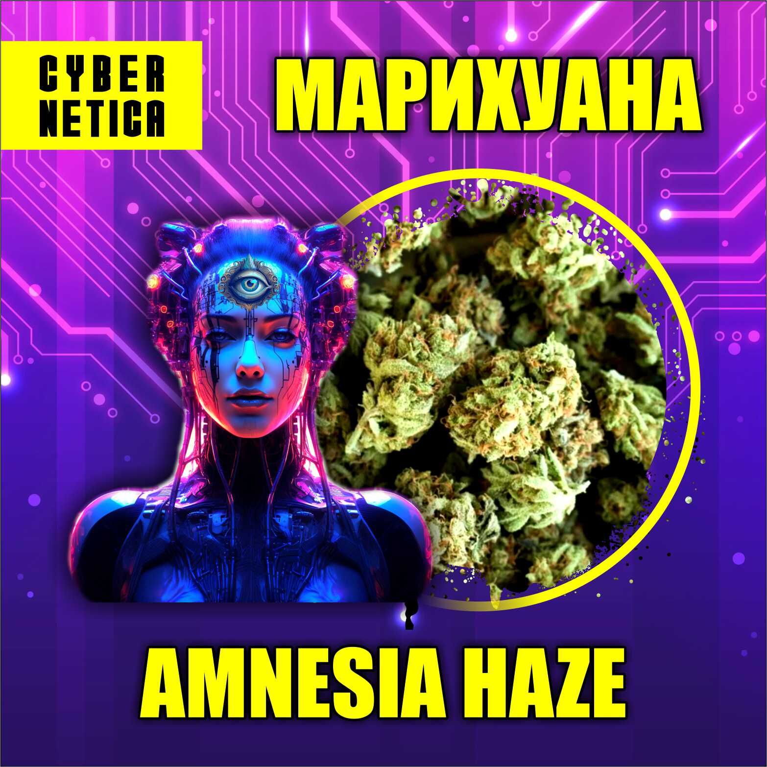 Шишки | Amnesia Haze