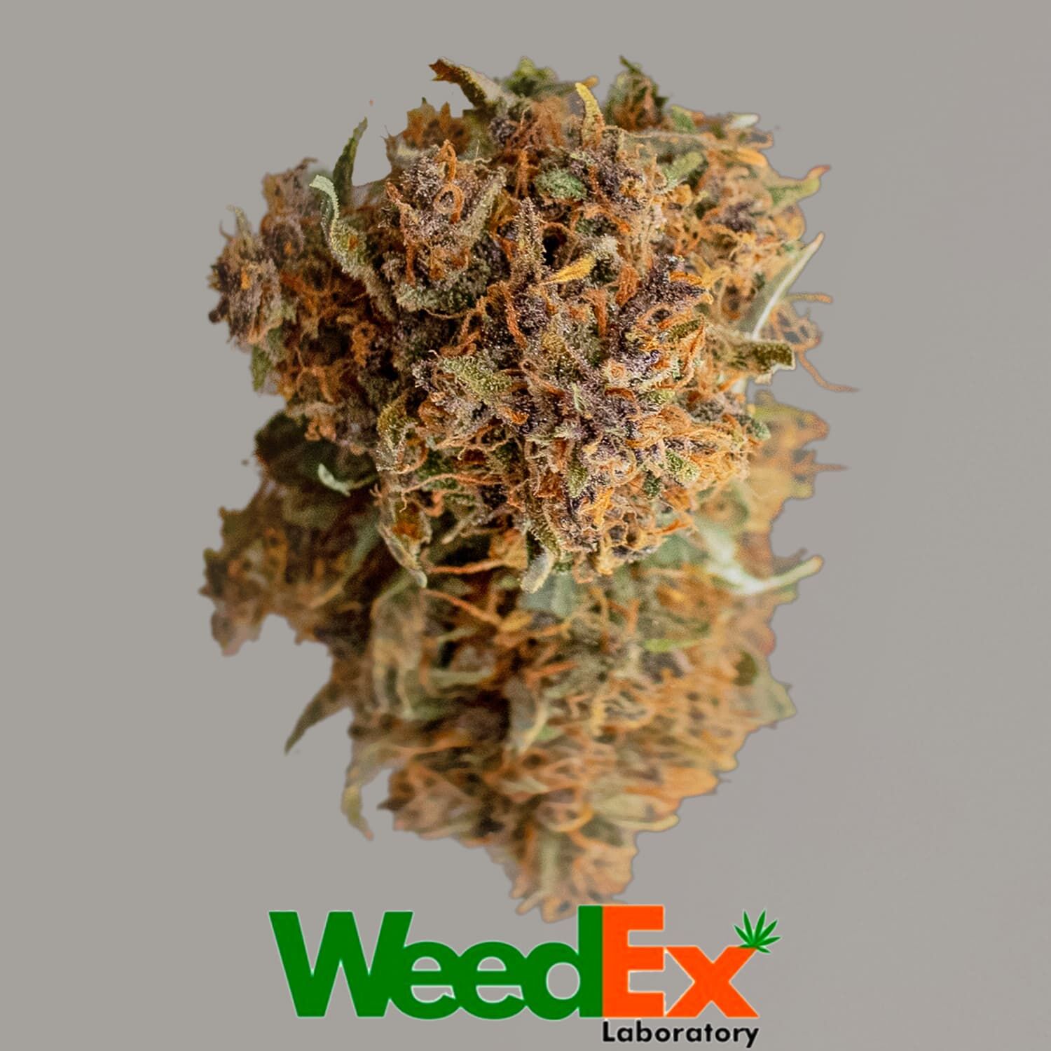 OG KUSH