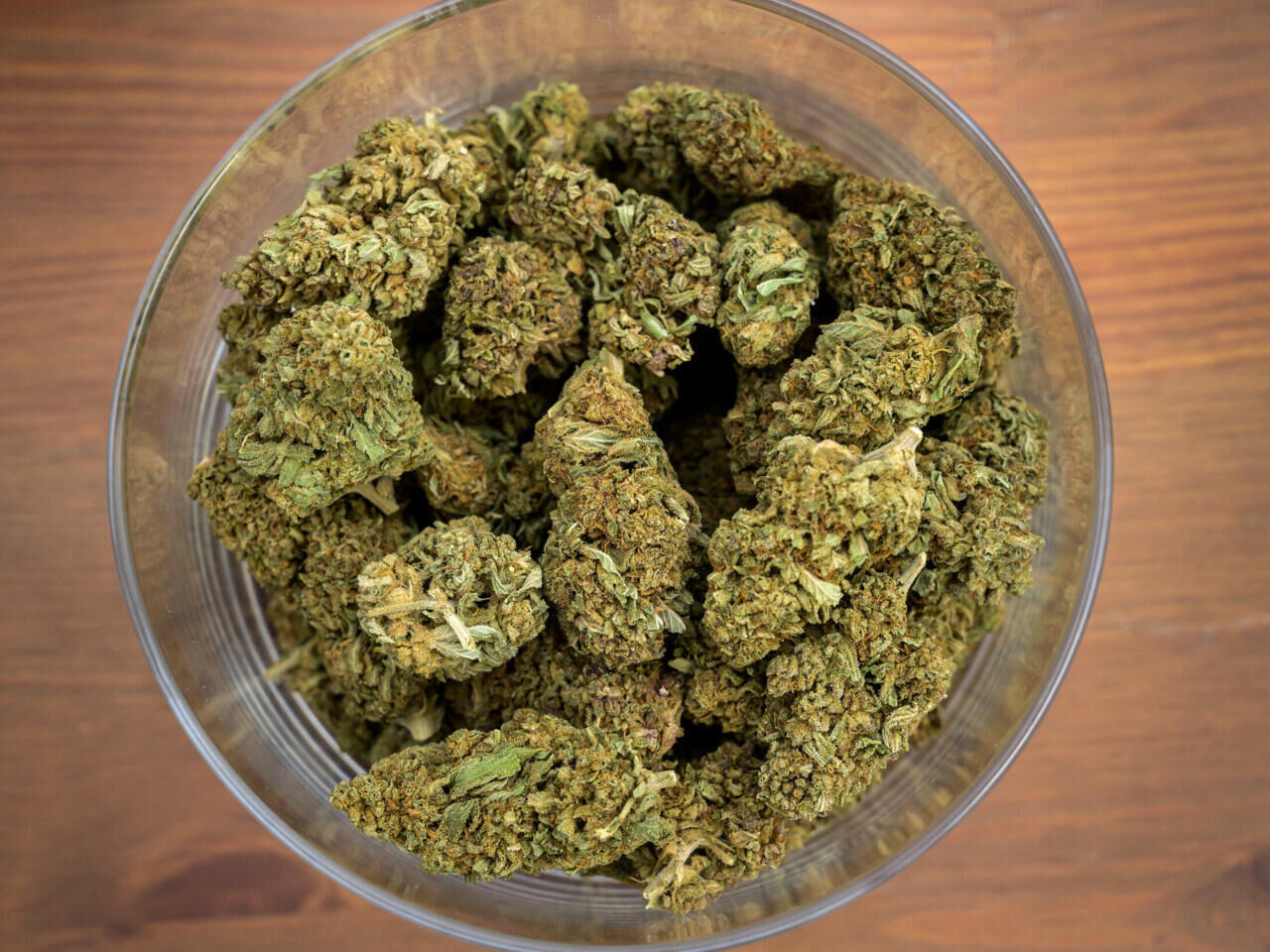 Шишки Gorilla glue