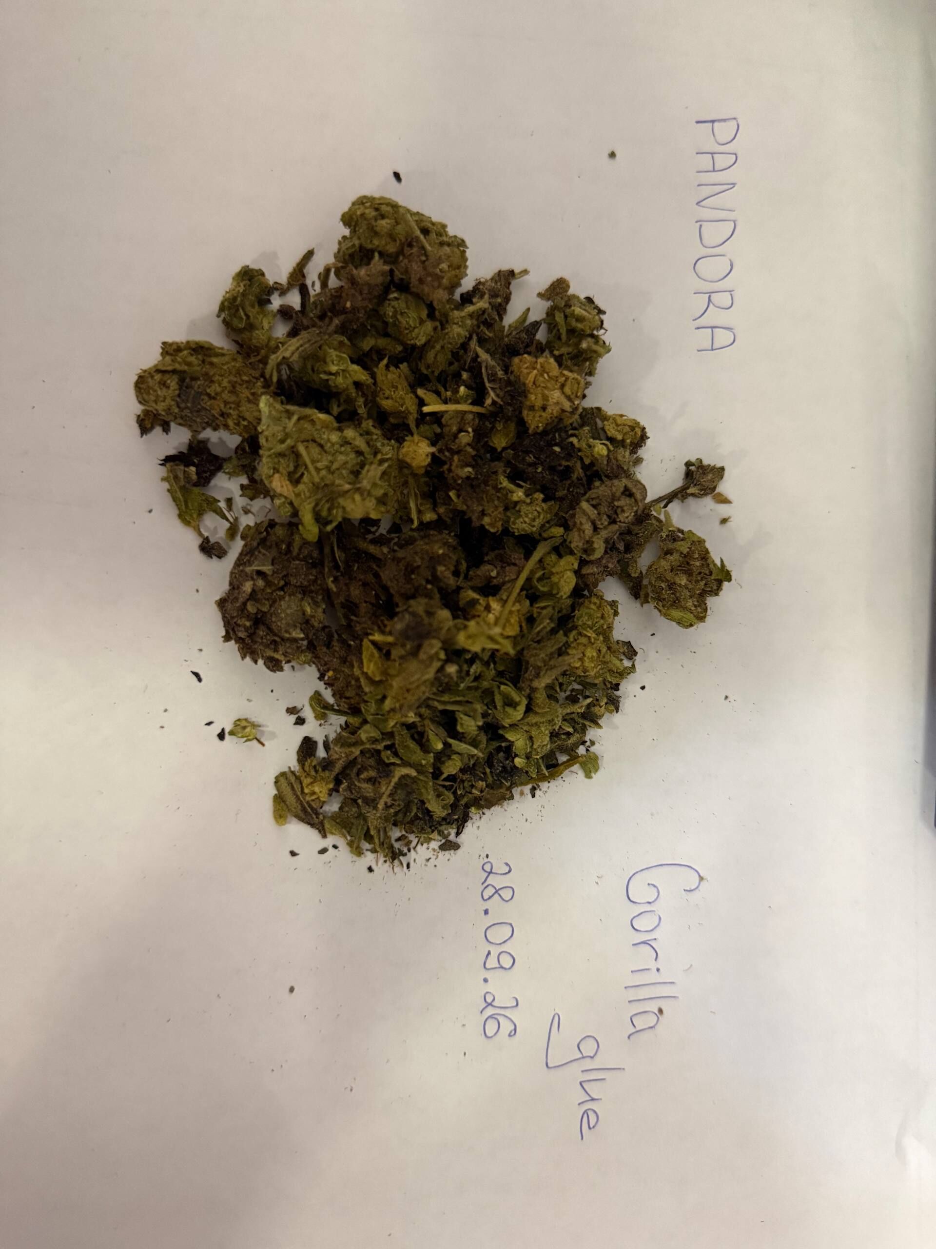 Gorilla Glue