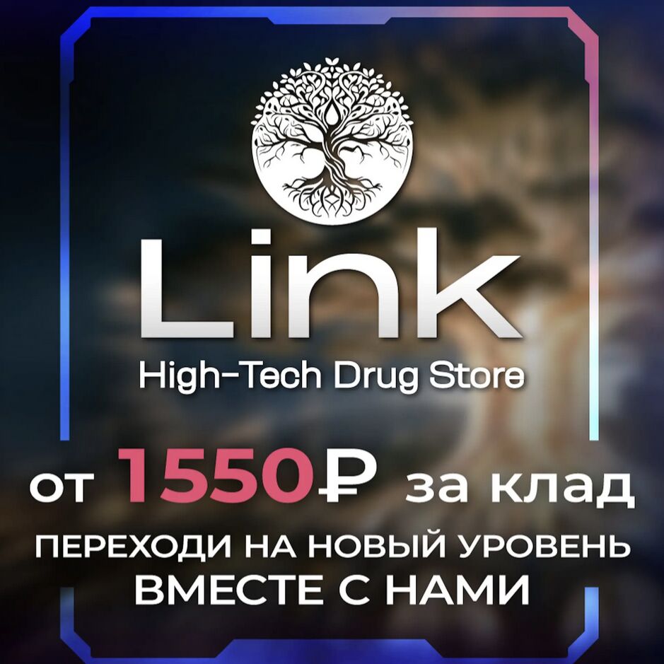 Link 2.0