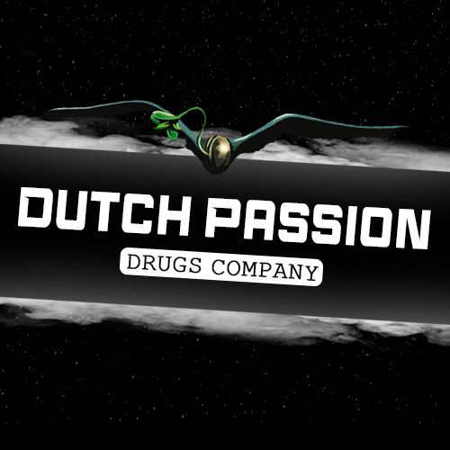 Dutch Passion