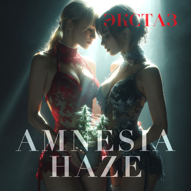 Бошка Amnesia Haze