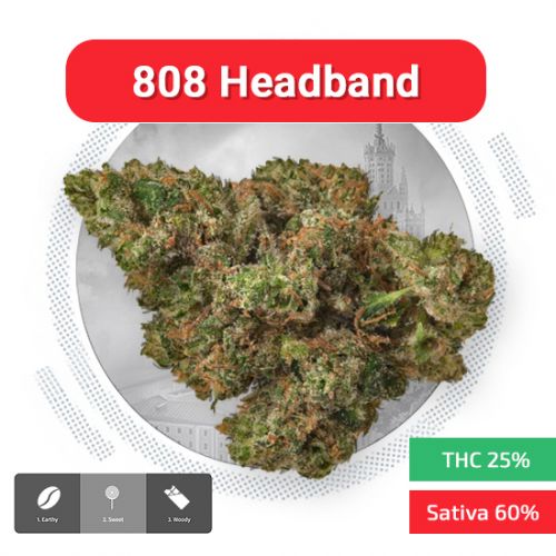 808 Headband