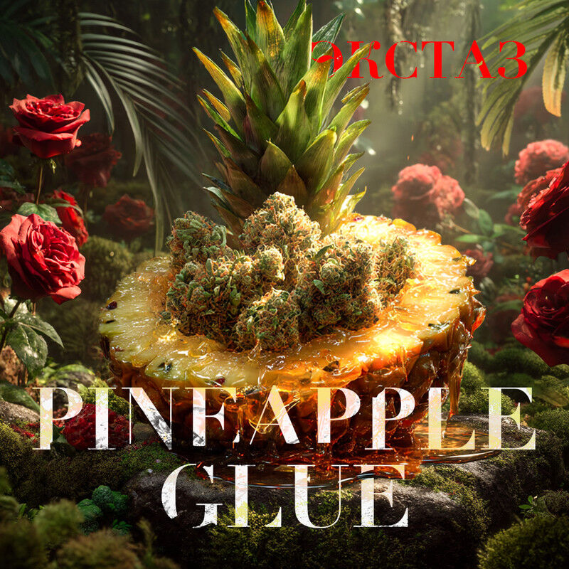 Бошка Pineaple Glue