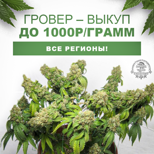 Гровер Выкуп Франшиз